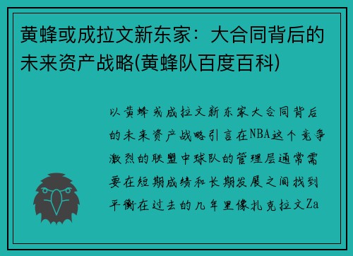 黄蜂或成拉文新东家：大合同背后的未来资产战略(黄蜂队百度百科)