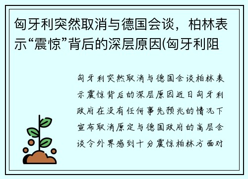 匈牙利突然取消与德国会谈，柏林表示“震惊”背后的深层原因(匈牙利阻止欧盟)